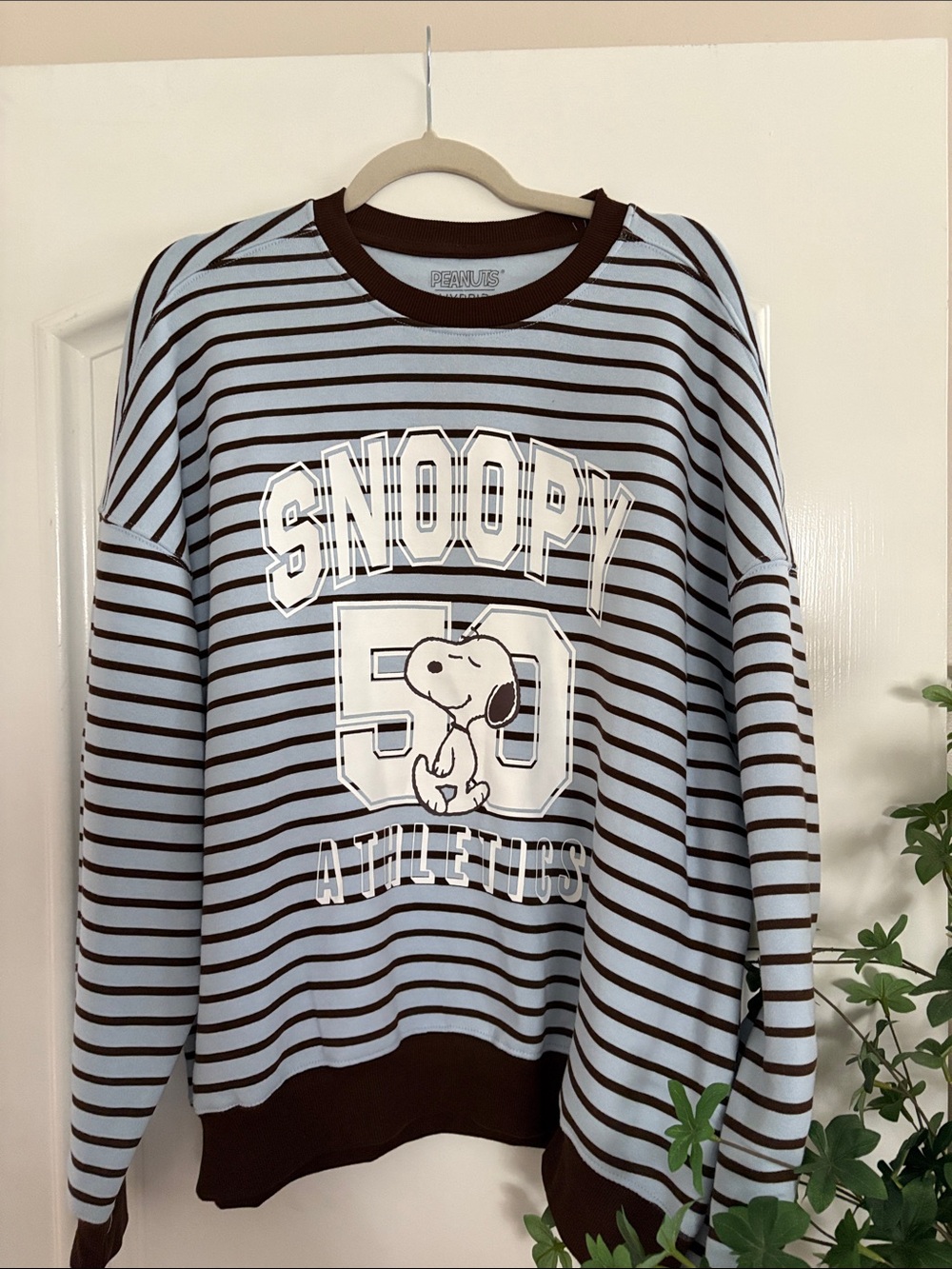Peanuts Light Blue and Brown Striped Snoopy 50 Crewneck Sweatshirt